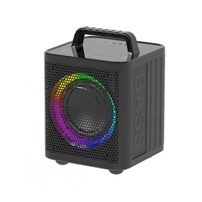 C66 LED Bass Speaker